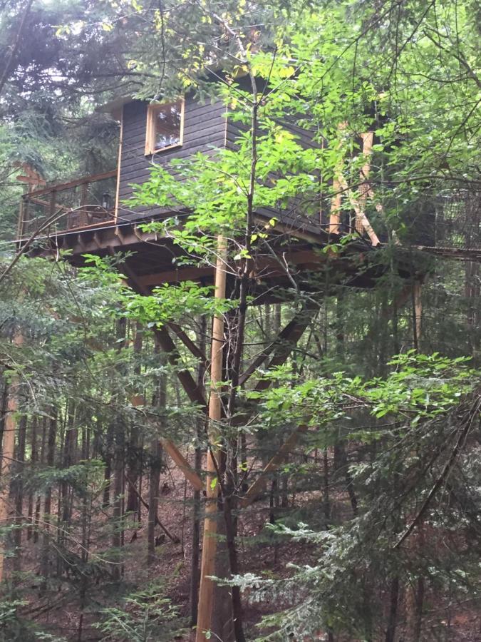 Cabane De L'Ecureuil Hotell Châtel-Guyon Eksteriør bilde